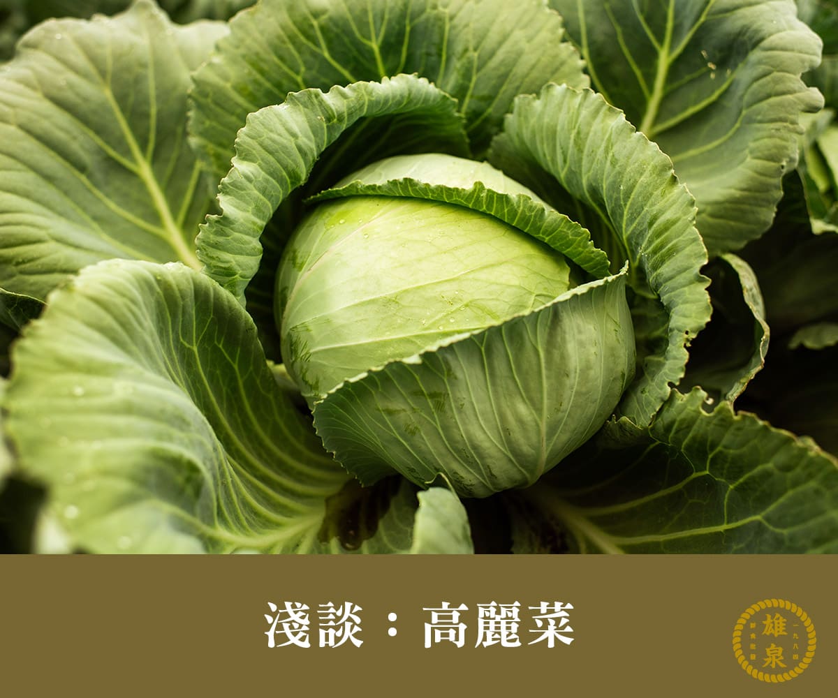 淺談：高麗菜 - 雄泉蔬果批發｜ 蔬菜批發｜ 水果批發｜最優質的 菜商